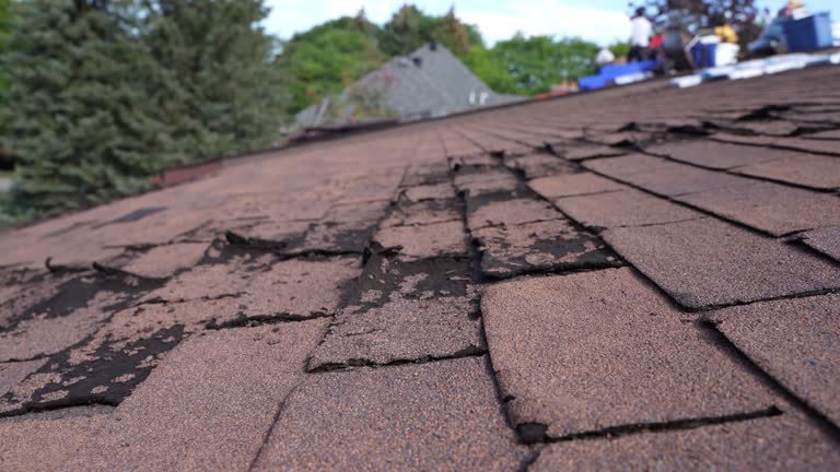  Willard, OH Roofing Service Pros