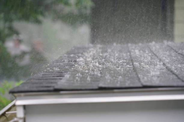 Best Roof Ventilation Installation  in Willard, OH